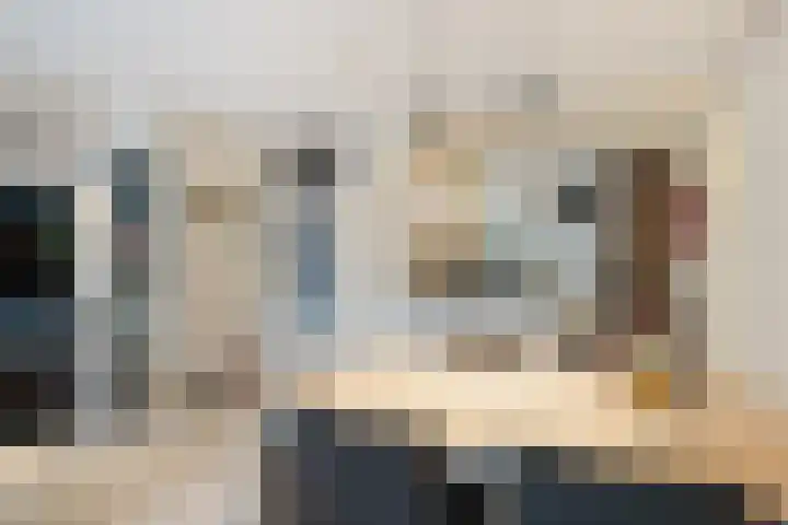 Slangekruid 11 Nieuwerkerk aan den IJssel thumbnail 5
