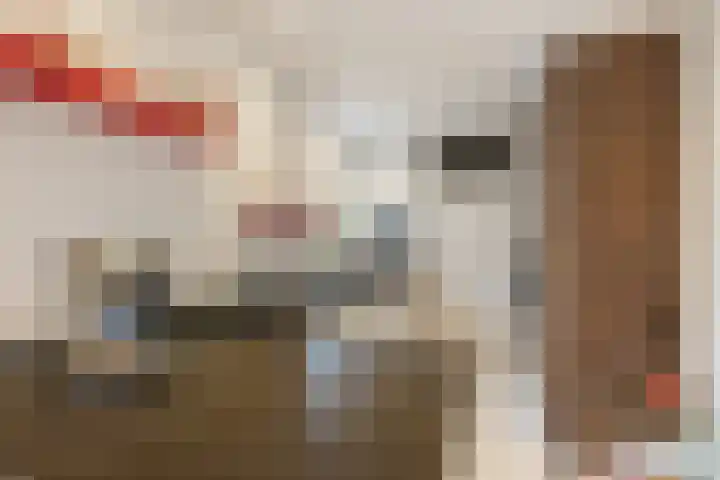 Slangekruid 11 Nieuwerkerk aan den IJssel thumbnail 7