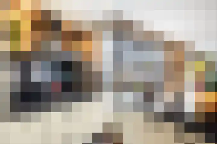 Slangekruid 145 Monster thumbnail 22