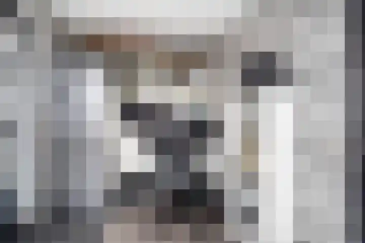Slangekruid 145 Monster thumbnail 28