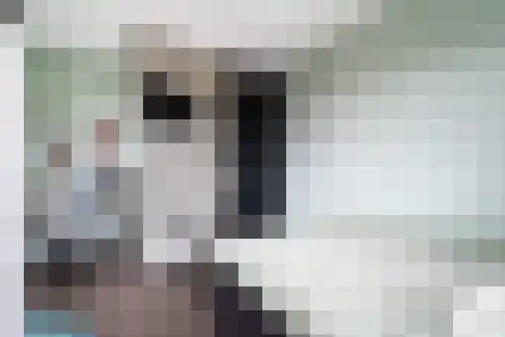 Slangekruid 145 Monster thumbnail 39