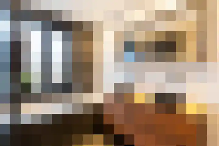 Slangekruid 145 Monster thumbnail 47