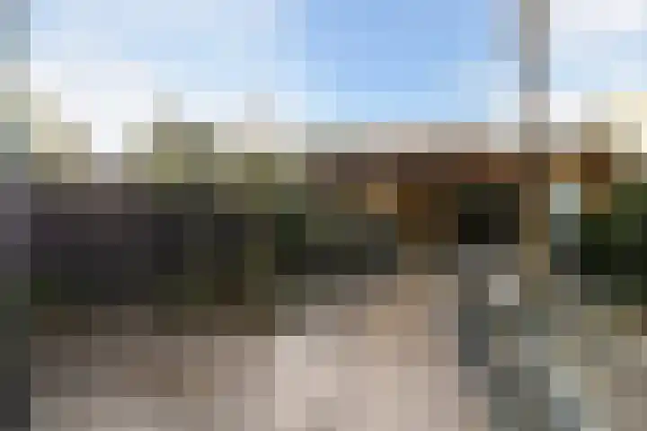 Slangekruid 145 Monster thumbnail 50