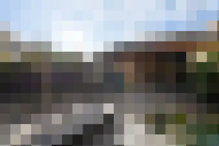 Slangekruid 145 Monster thumbnail 51