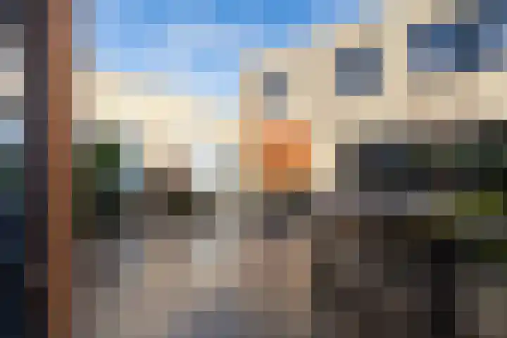 Slangekruid 145 Monster thumbnail 52