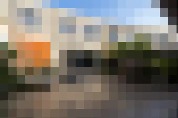 Slangekruid 145 Monster thumbnail 53