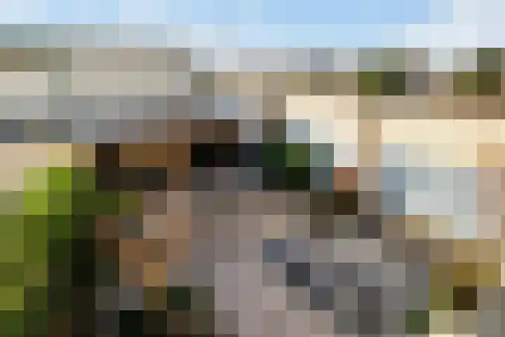 Slangekruid 145 Monster thumbnail 54