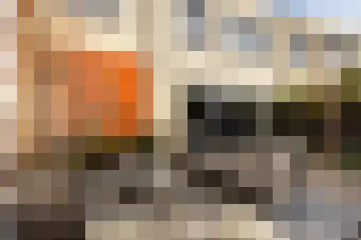 Slangekruid 145 Monster thumbnail 55
