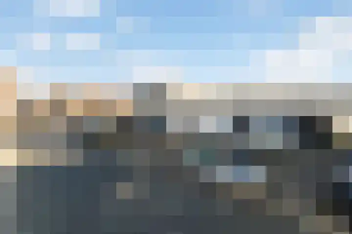 Slangekruid 145 Monster thumbnail 62
