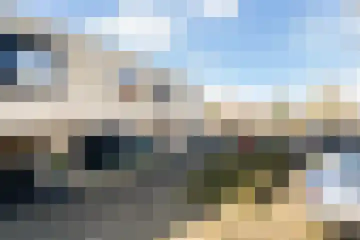 Slangekruid 145 Monster thumbnail 64