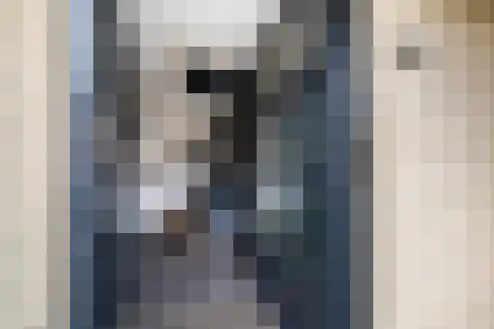 Slangekruid 145 Monster thumbnail 7