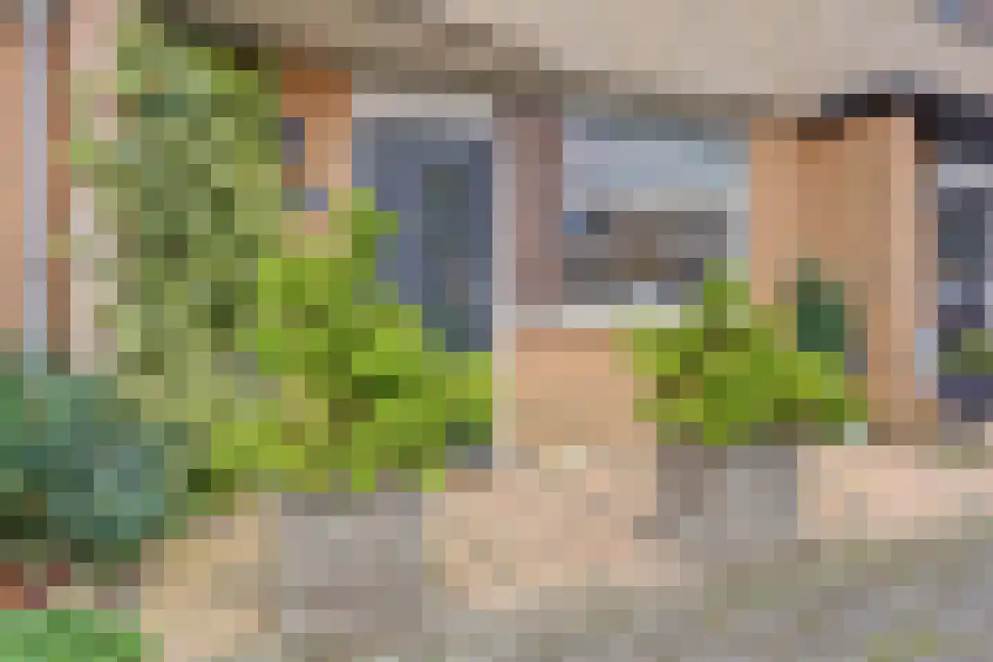 Slangekruid 21 Katwijk thumbnail 11