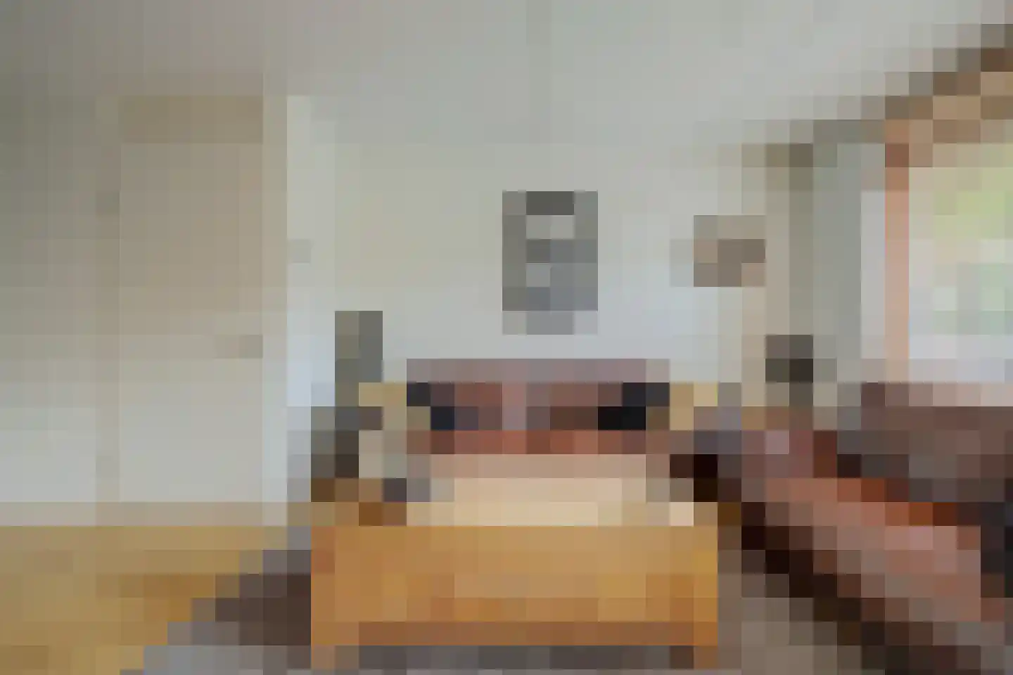 Slangekruid 21 Katwijk thumbnail 18
