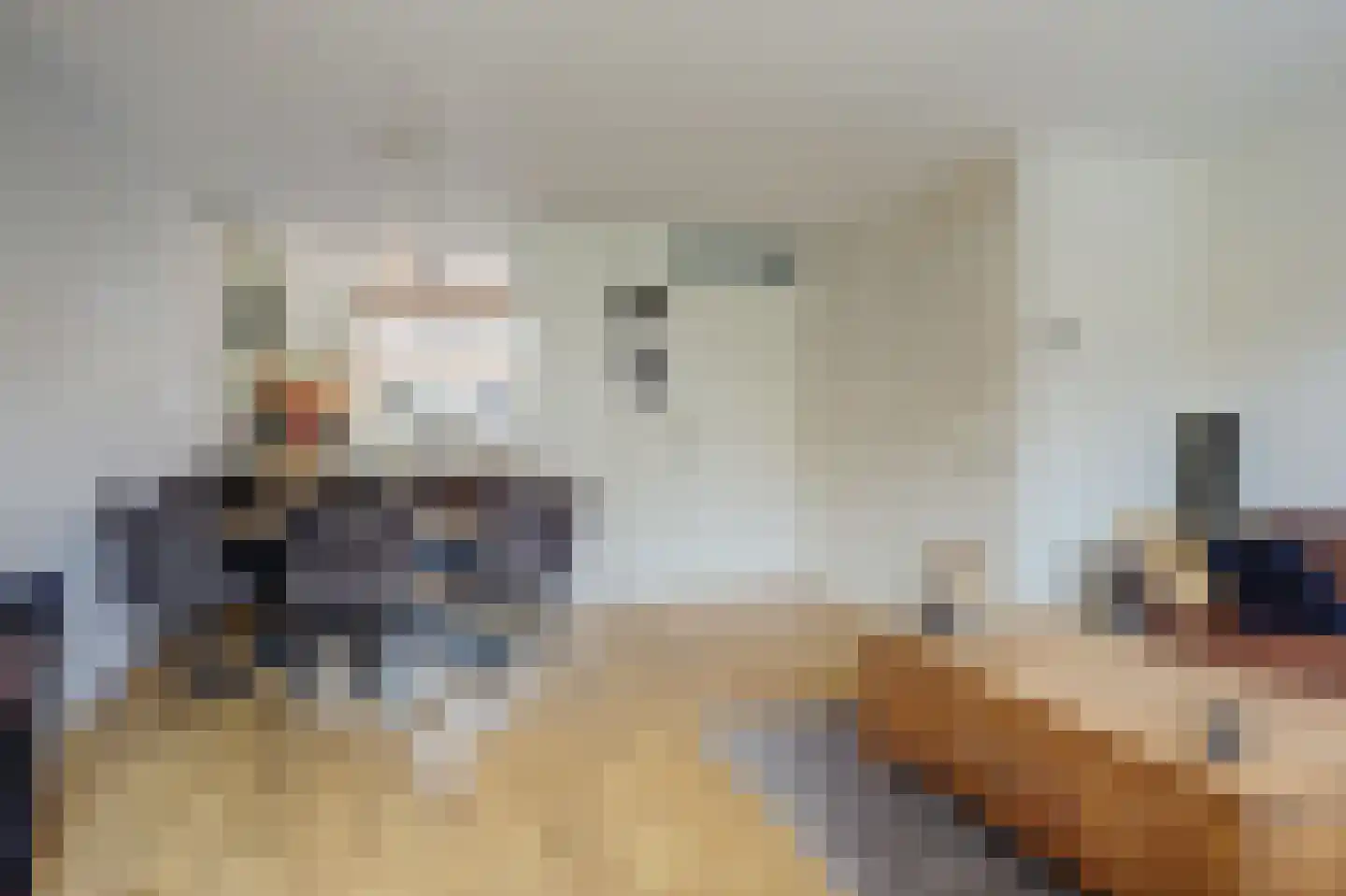Slangekruid 21 Katwijk thumbnail 19