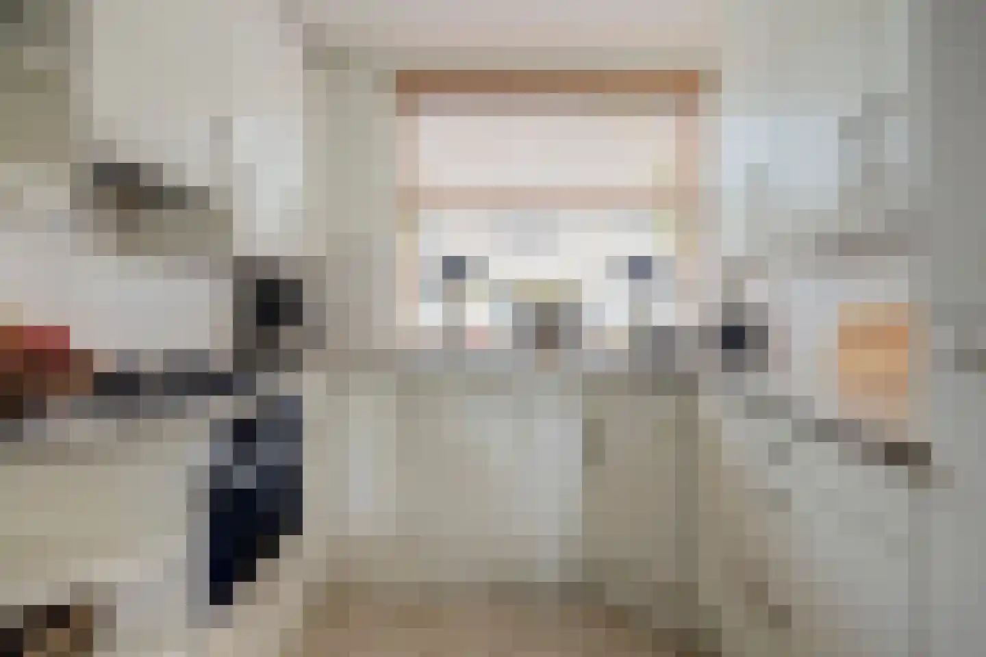 Slangekruid 21 Katwijk thumbnail 25