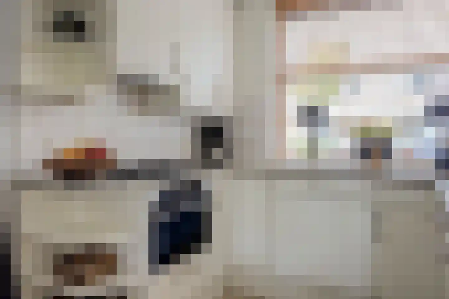 Slangekruid 21 Katwijk thumbnail 26