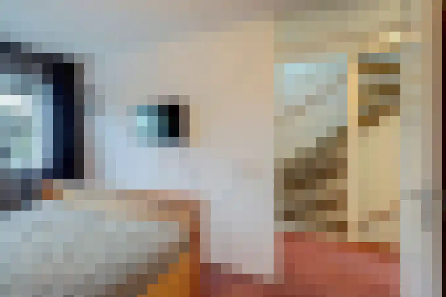 Slangekruid 21 Katwijk thumbnail 33