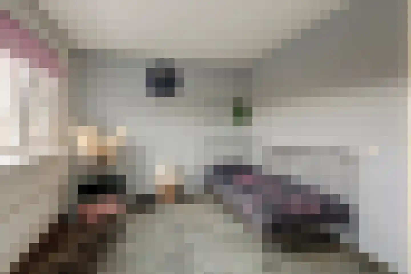 Slangekruid 21 Katwijk thumbnail 44