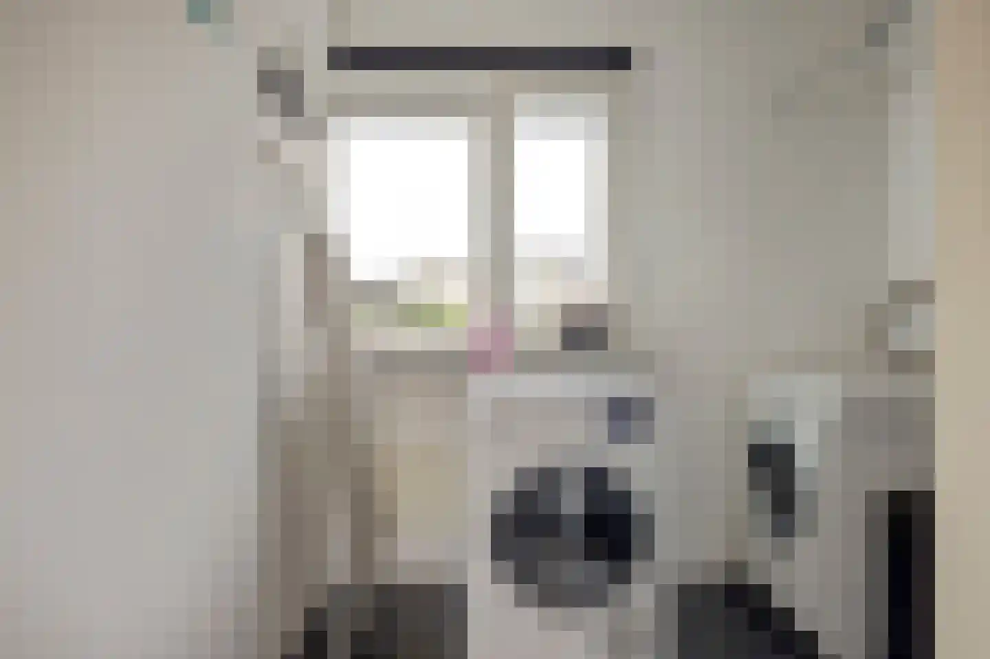 Slangekruid 21 Katwijk thumbnail 48