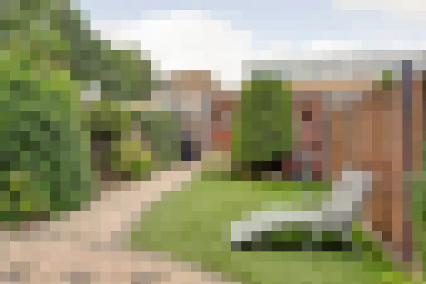 Slangekruid 21 Katwijk thumbnail 50