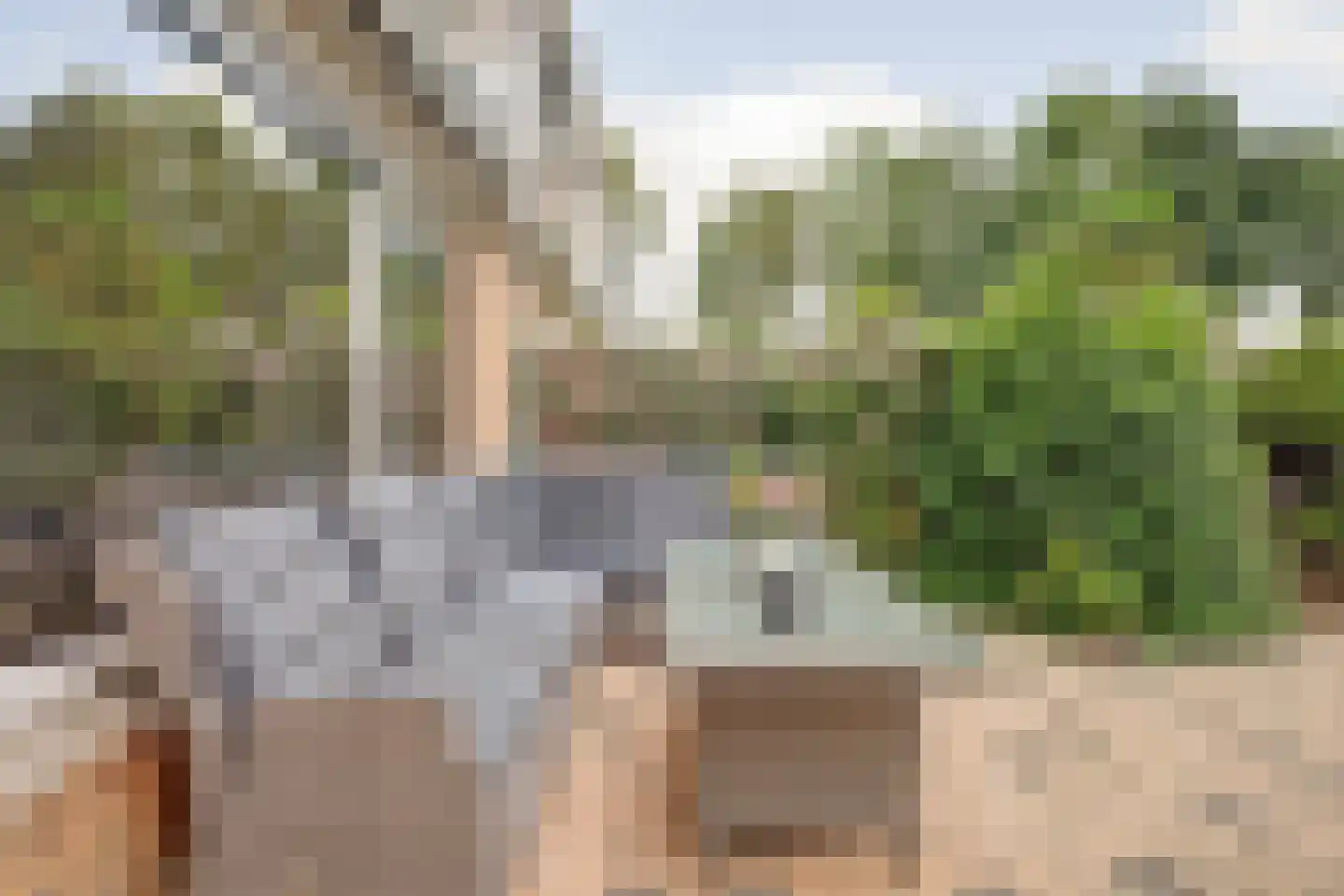 Slangekruid 21 Katwijk thumbnail 51