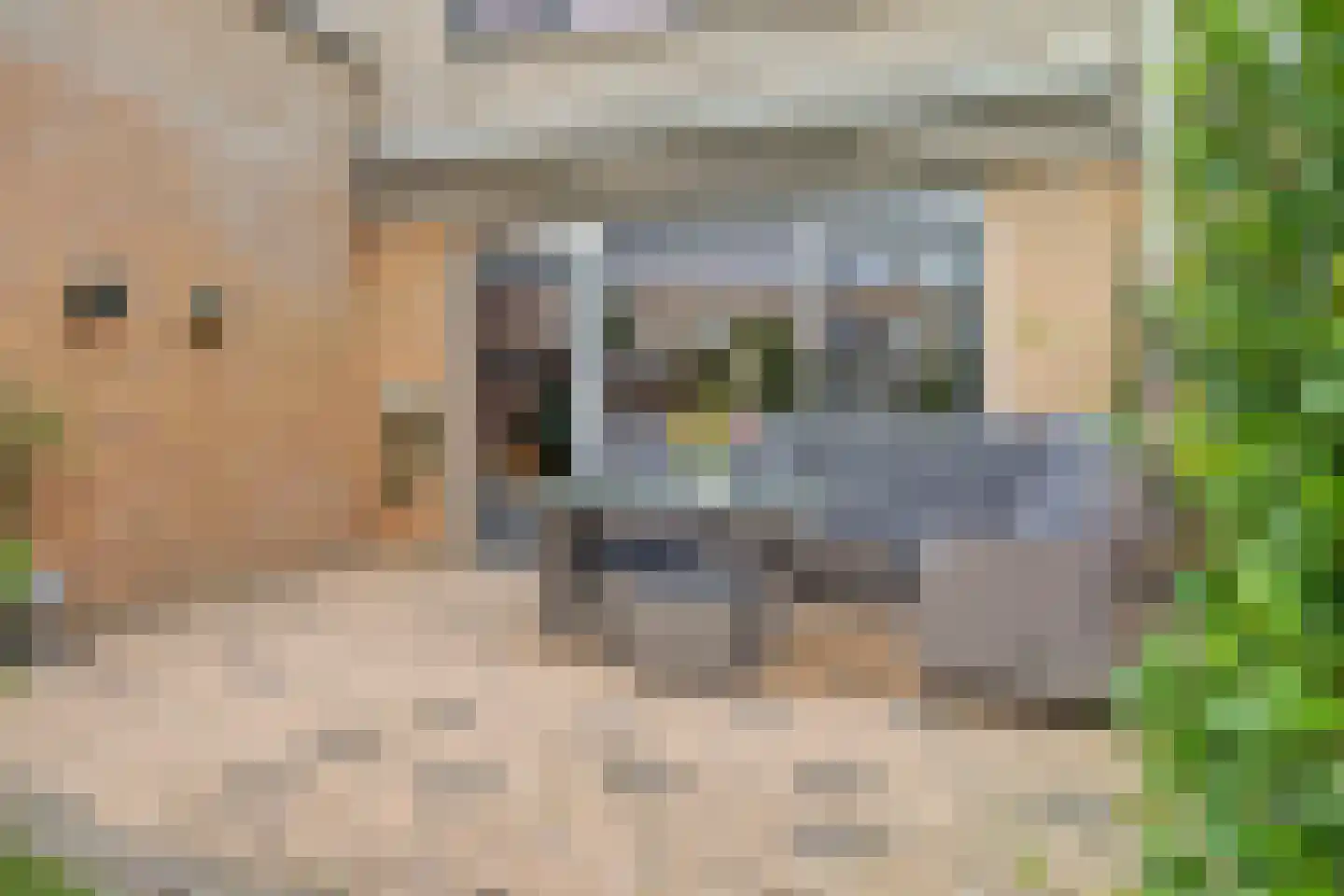 Slangekruid 21 Katwijk thumbnail 52