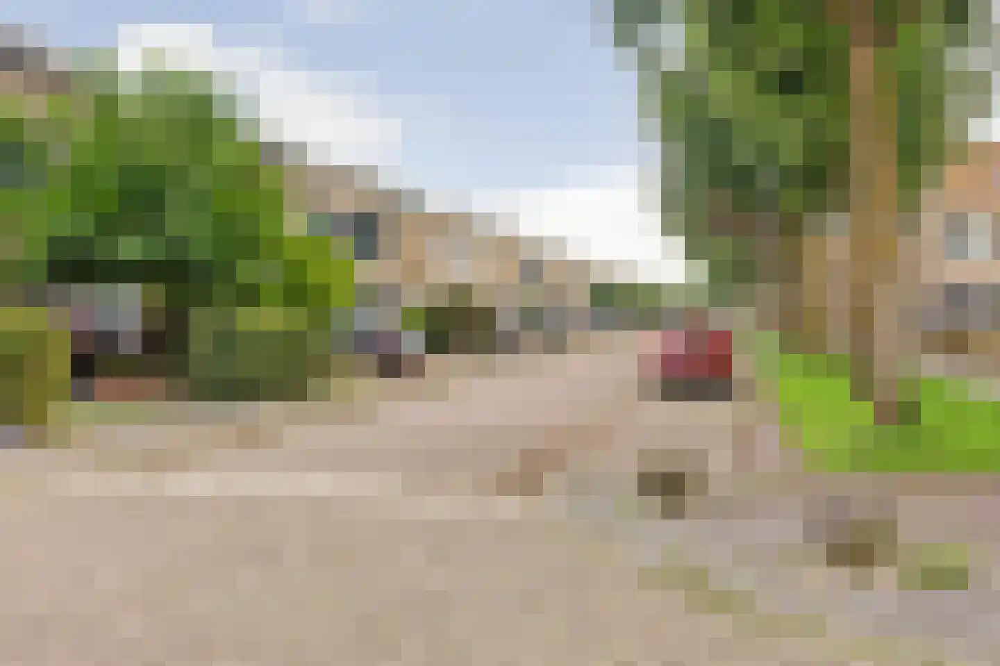 Slangekruid 21 Katwijk thumbnail 55
