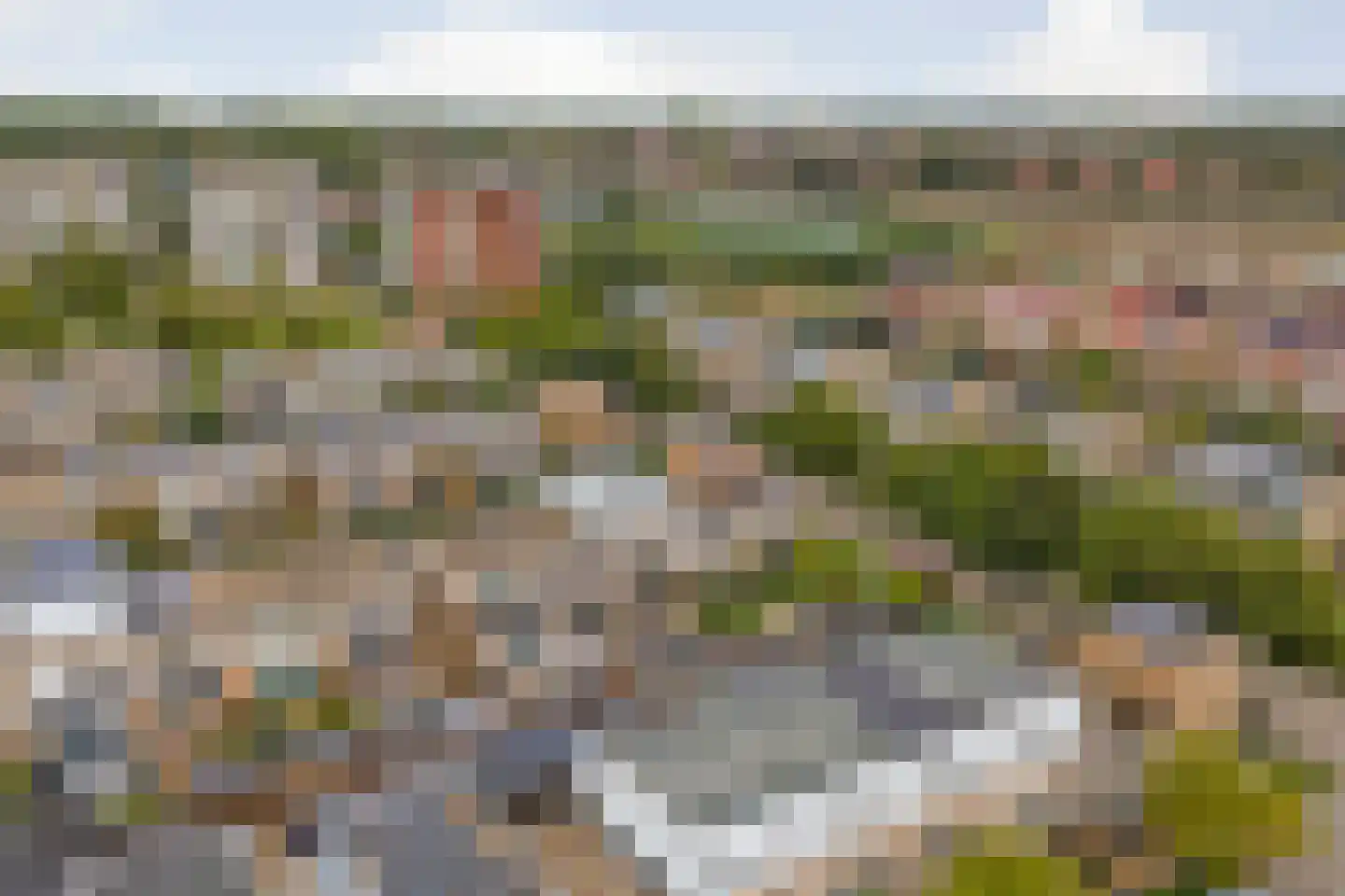 Slangekruid 21 Katwijk thumbnail 58