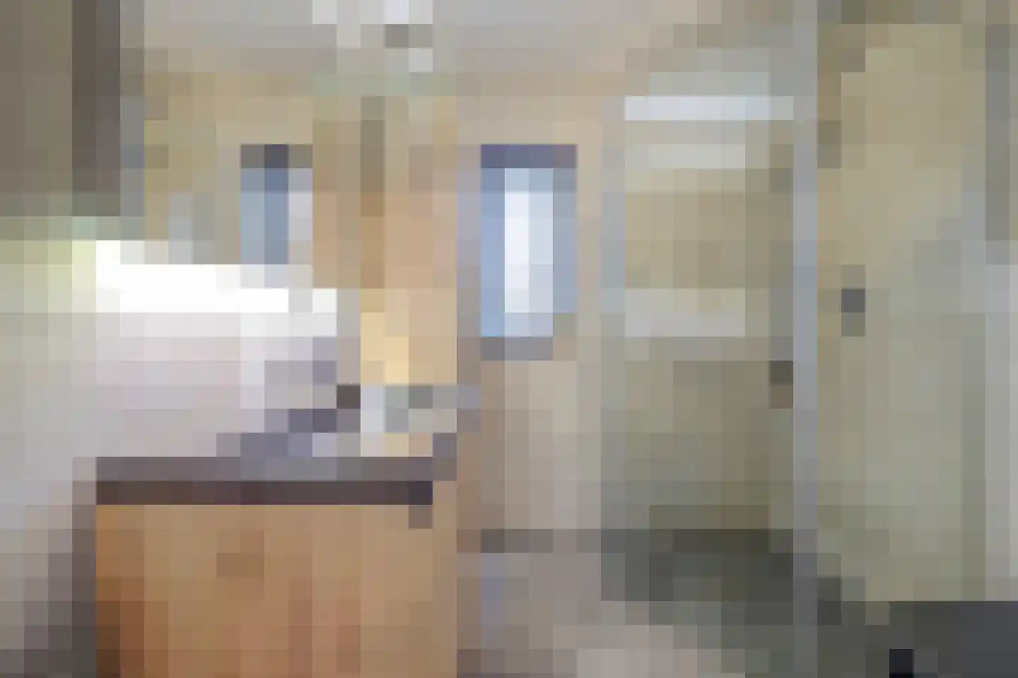 Slangekruid 21 Katwijk thumbnail 6