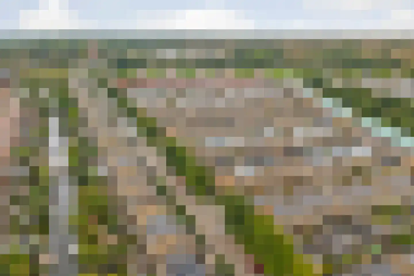 Slangekruid 21 Katwijk thumbnail 60