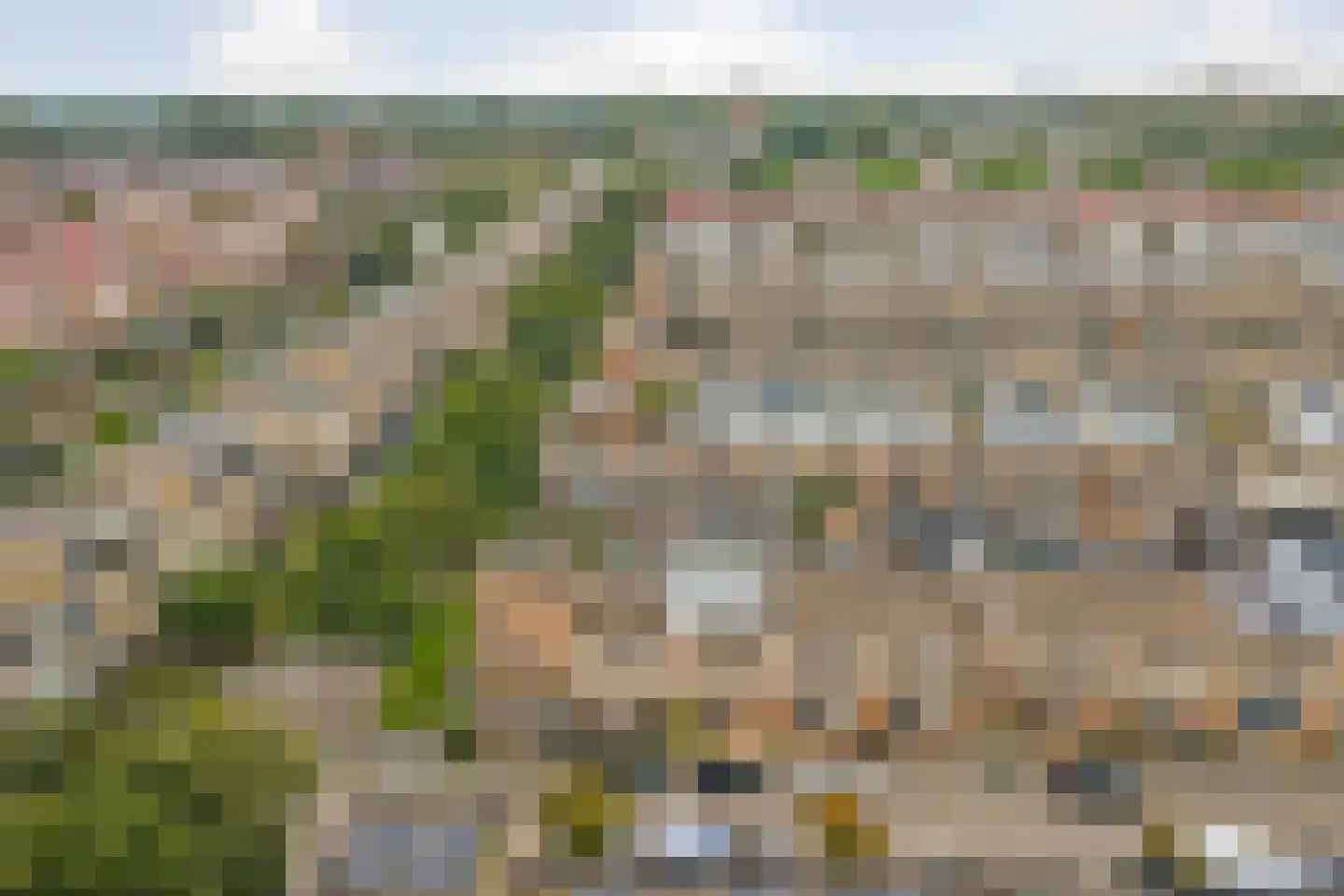 Slangekruid 21 Katwijk thumbnail 61