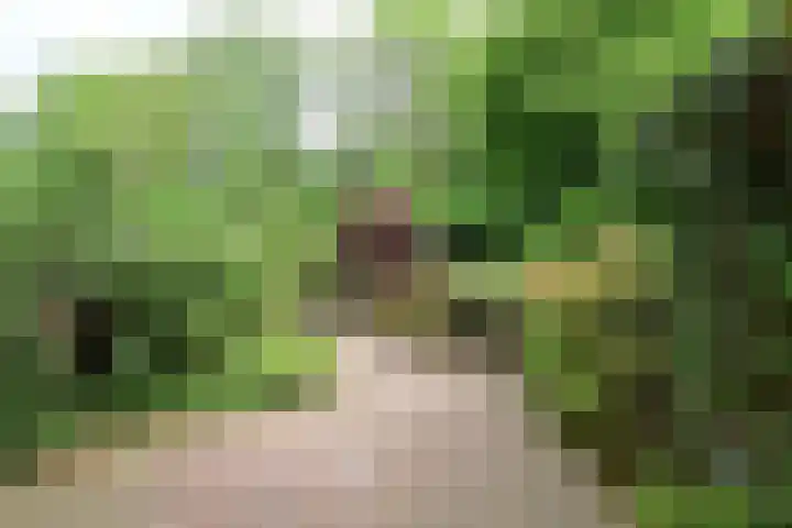 Slangekruid 45 Huizen thumbnail 17