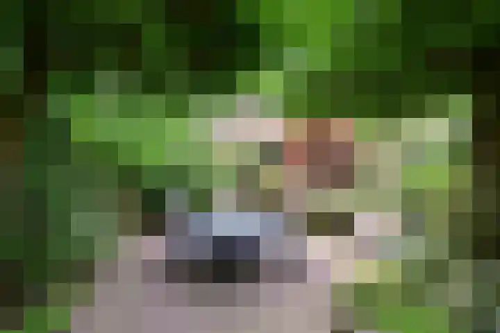 Slangekruid 45 Huizen thumbnail 18
