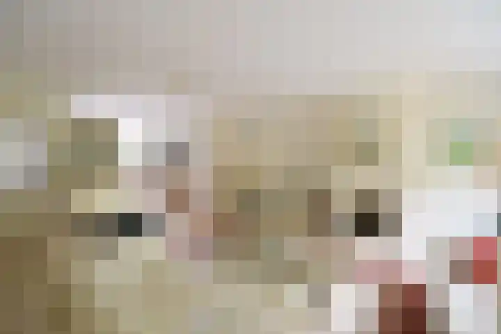 Slangekruid 45 Huizen thumbnail 5