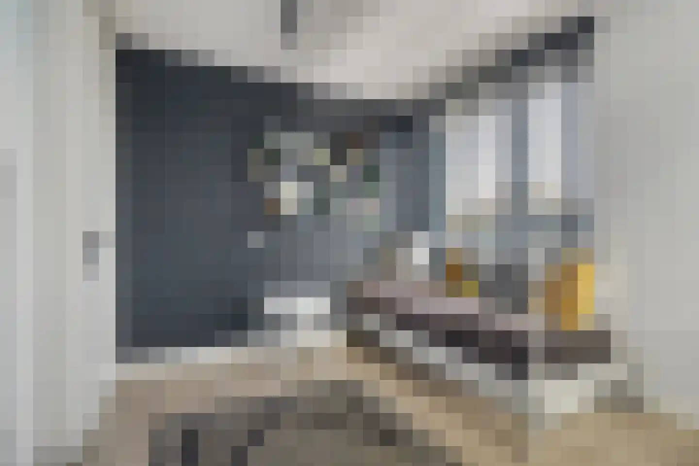 Slangekruid 50 Monster thumbnail 15