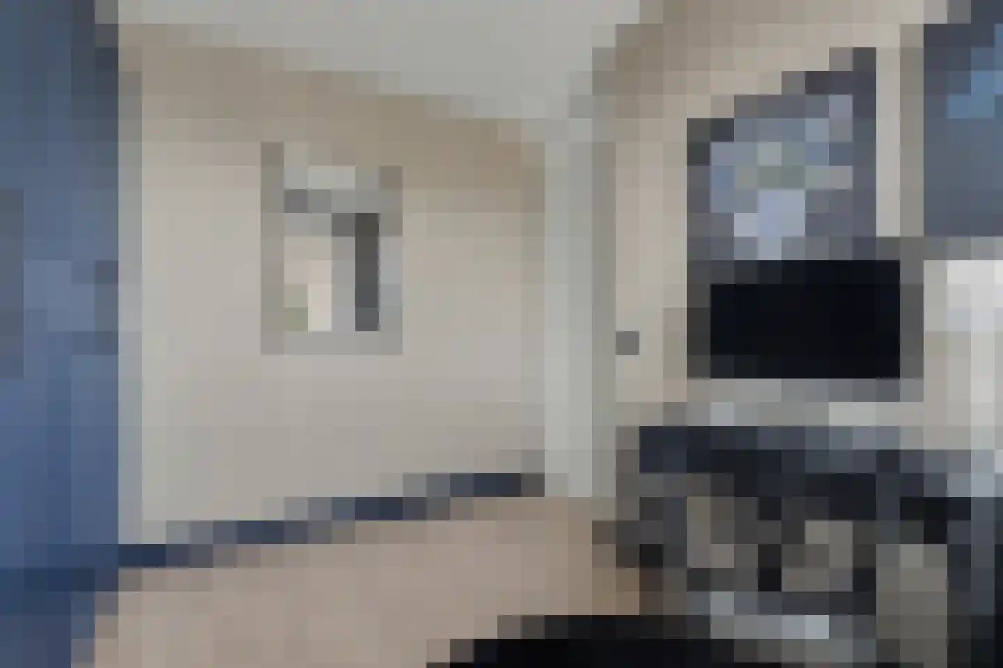 Slangekruid 50 Monster thumbnail 17