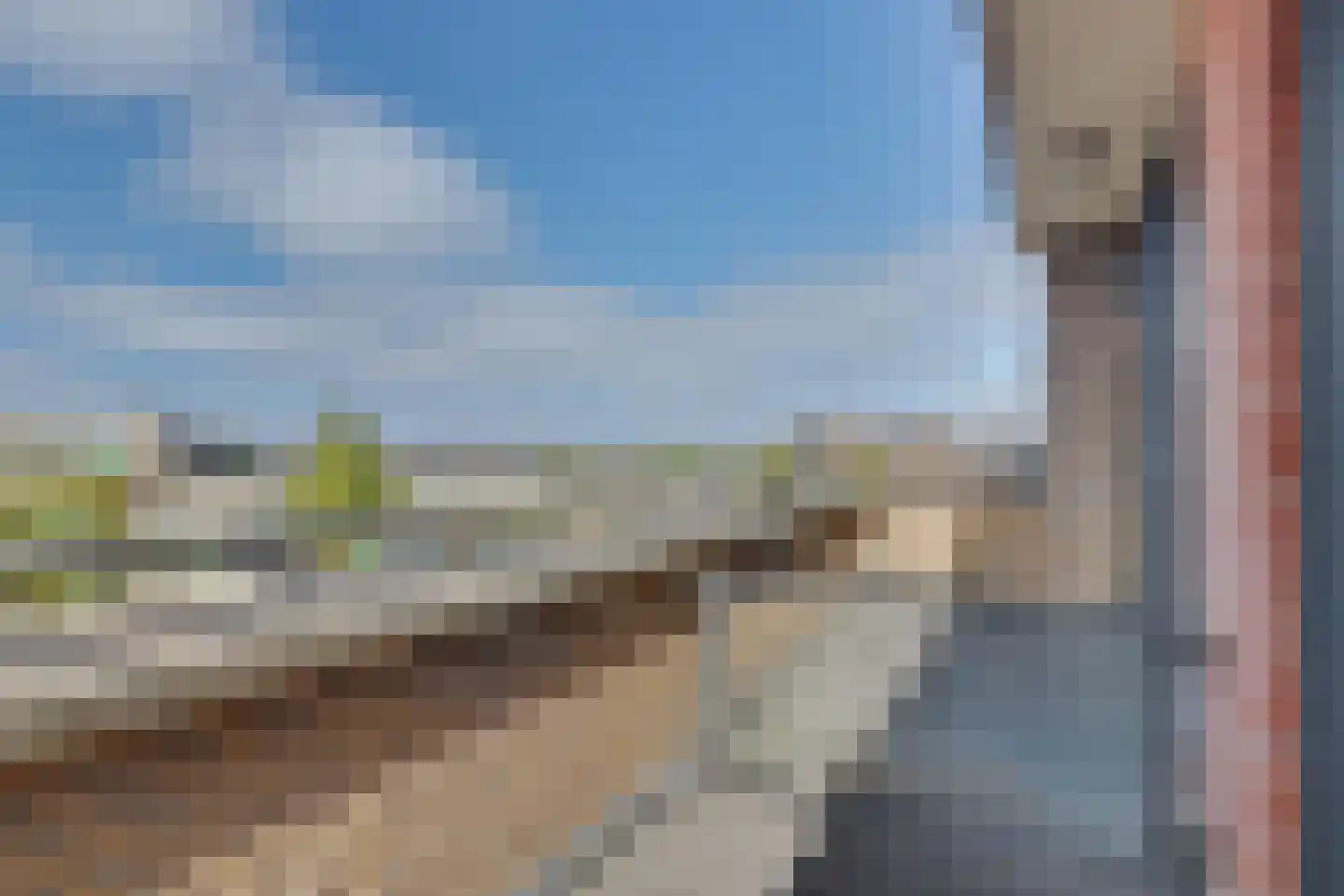 Slangekruid 50 Monster thumbnail 23