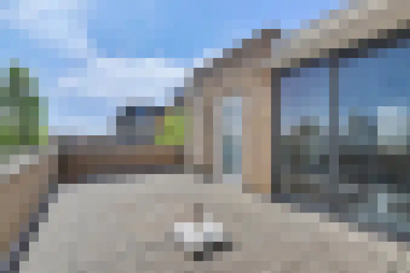 Slangekruid 50 Monster thumbnail 25