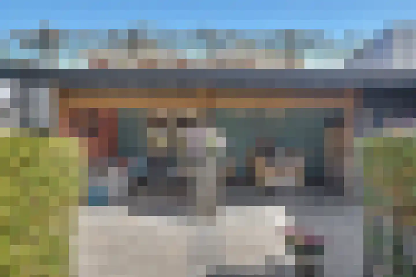Slangekruid 50 Monster thumbnail 27