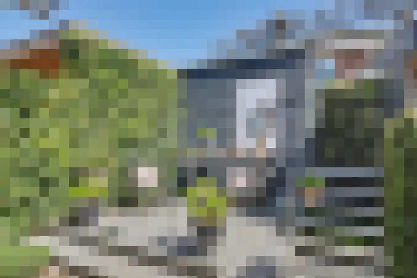 Slangekruid 50 Monster thumbnail 31