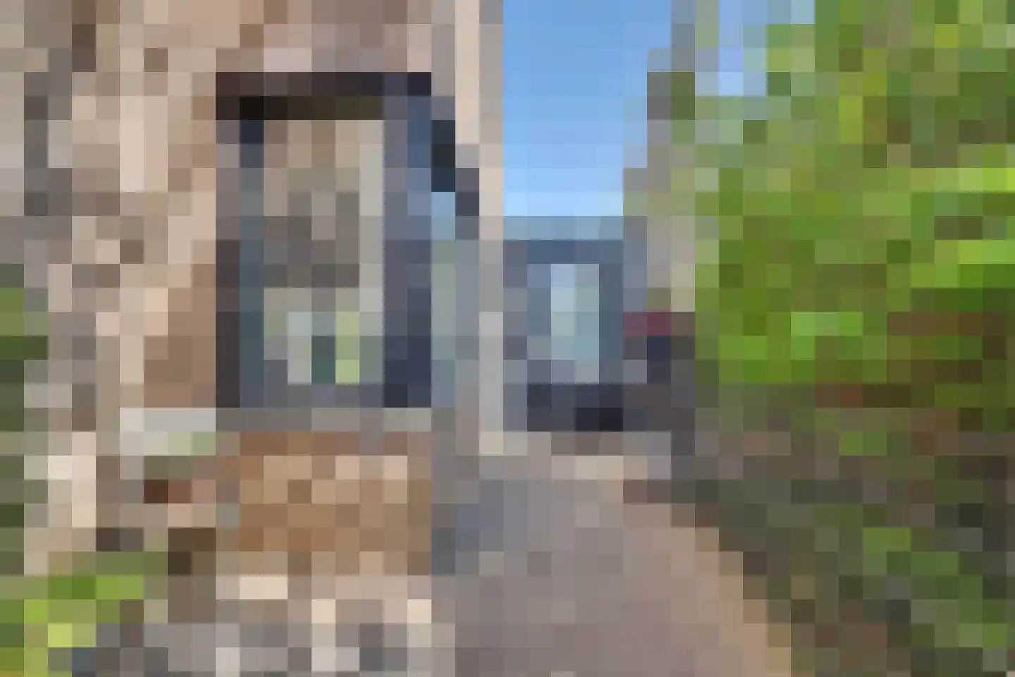 Slangekruid 50 Monster thumbnail 32