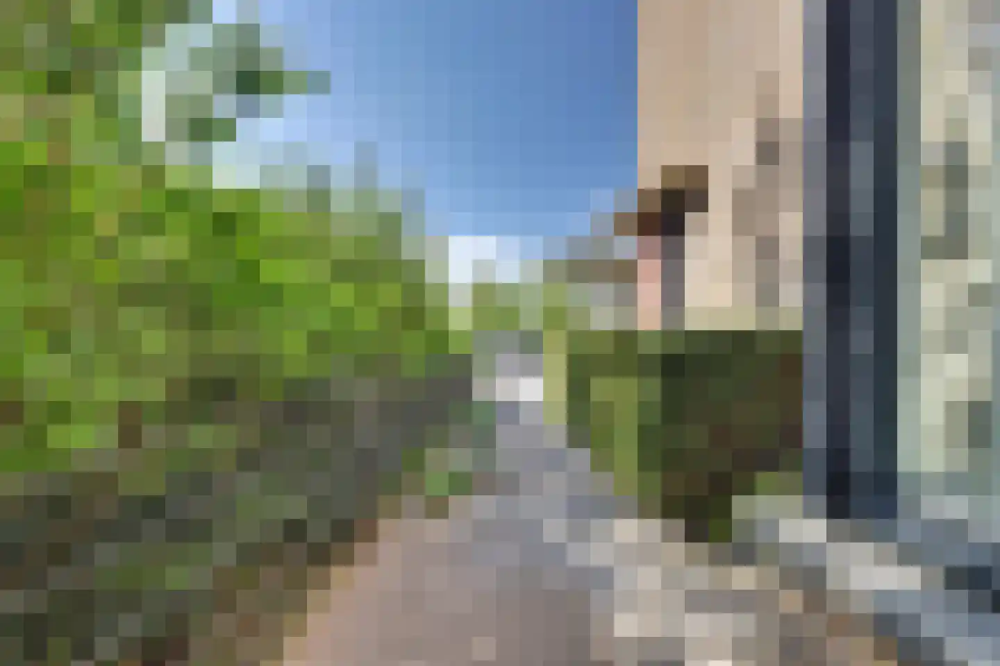 Slangekruid 50 Monster thumbnail 33