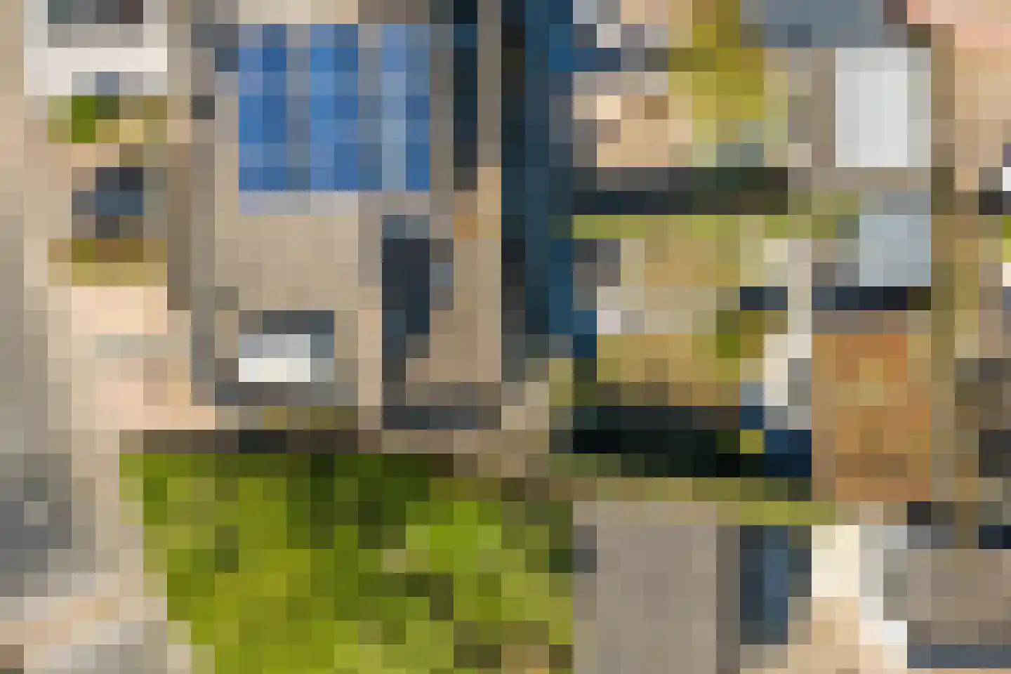 Slangekruid 50 Monster thumbnail 37