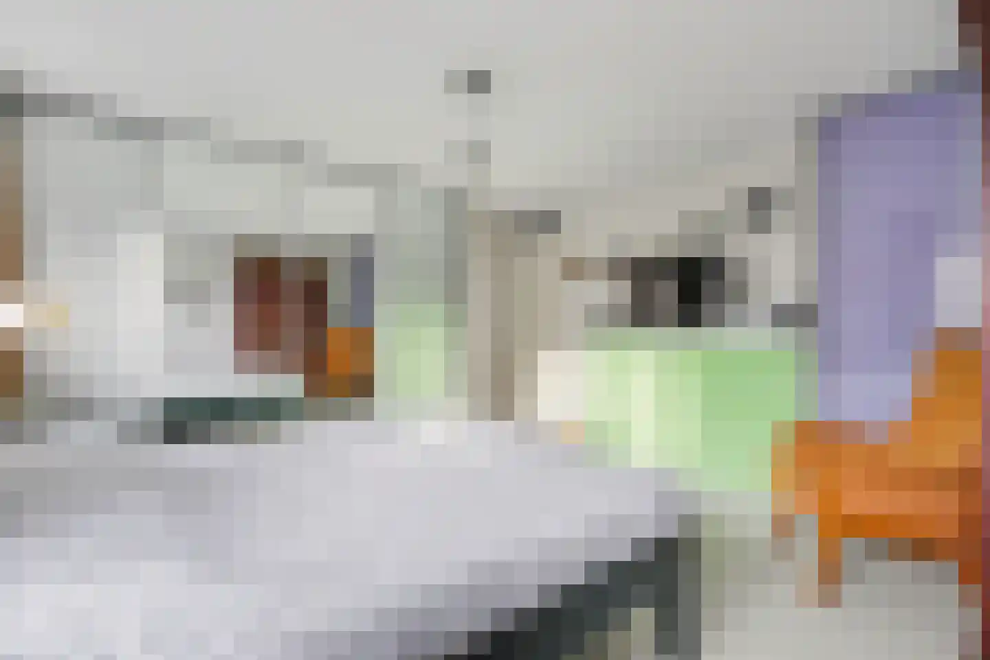Slangekruid 89 Monster thumbnail 13