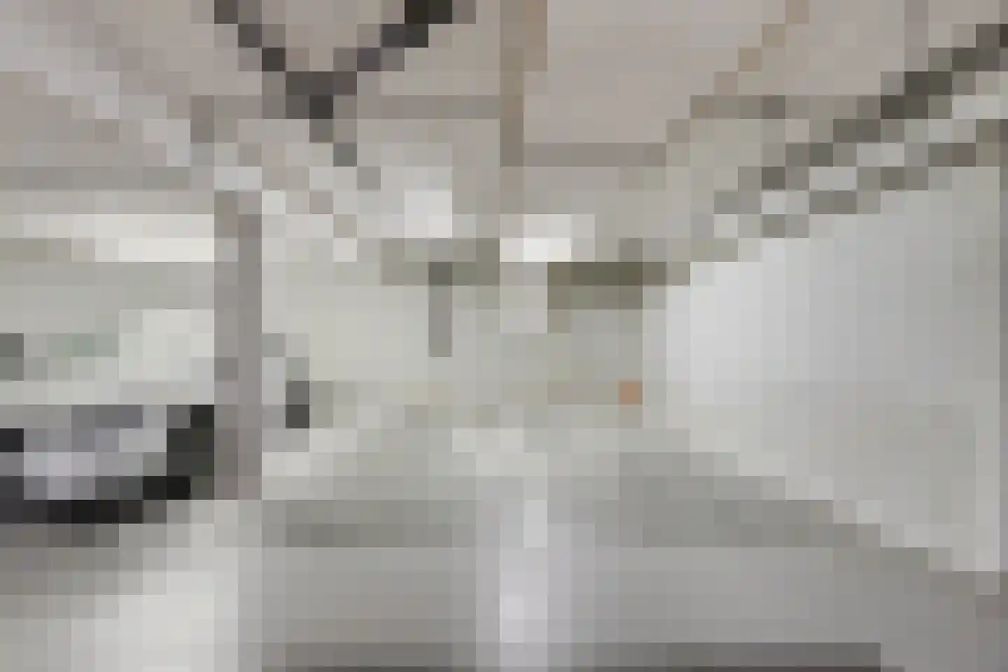 Slangekruid 89 Monster thumbnail 20