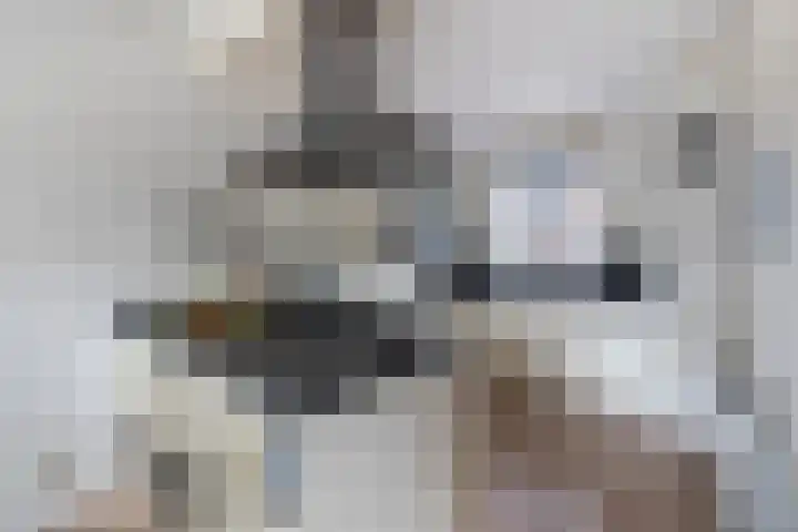 Slangemuur 32 Almelo thumbnail 10