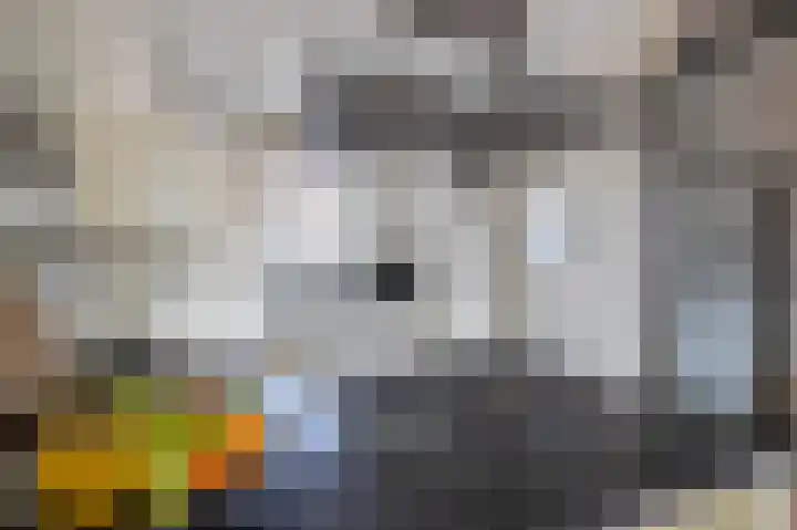 Slangemuur 32 Almelo thumbnail 12