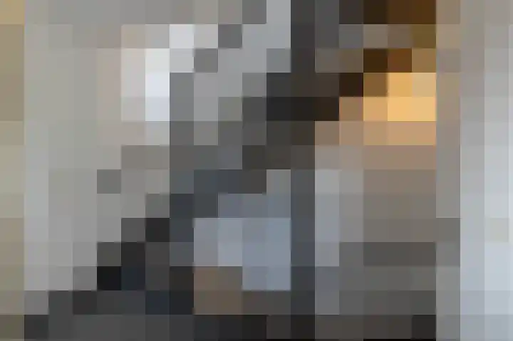Slangemuur 32 Almelo thumbnail 15