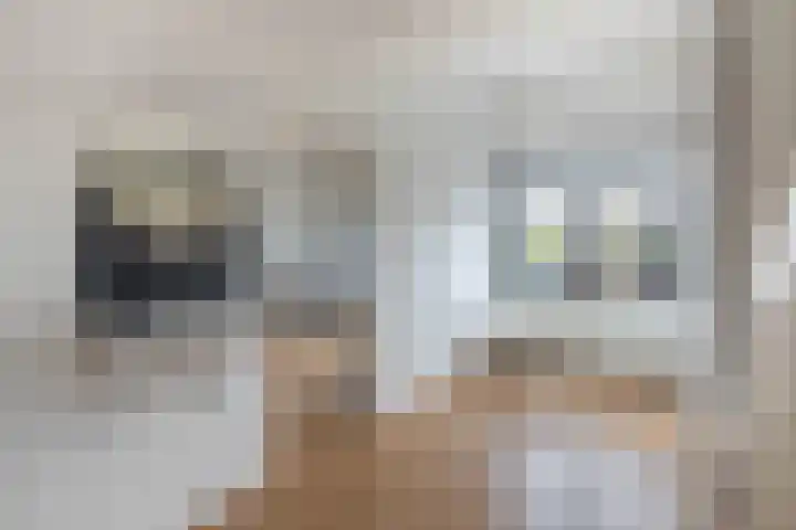 Slangemuur 32 Almelo thumbnail 24