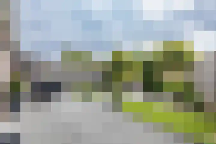 Slangemuur 32 Almelo thumbnail 30